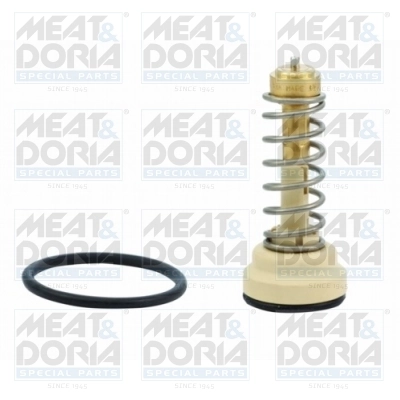Thermostat, coolant